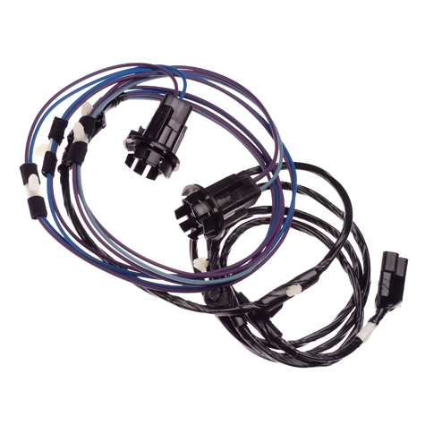 Picture of Wiring Harness